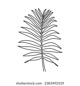Palm leaf one line drawing. Vector illustration isolated. Minimalist design handdrawn.