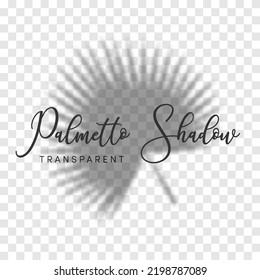 Ilustración del vector de sombra Palmetto Leaf Palm. Efecto superpuesto de la sombra de la hoja de palma tropical sobre el fondo transparente para la burla, plantillas, diseño.