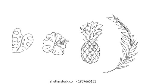 Palm leaf, pineapple, hibiscus flower, monstera leaf. Tropical plants, vector linear drawing.