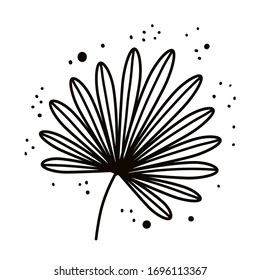 Palm leaf. Plants and botanical illustrations. Simple vector illustration.