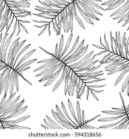 palm leaf plants tropic nature pattern