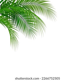 Palm leaf realistic design vector