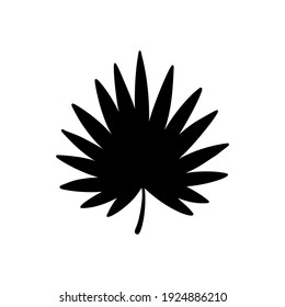 Palm leaf. Saw palmetto. Black silhouette. Tropical forest element. Vector illustration.