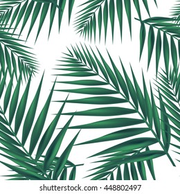 Palm leaf seamless on white background. Vector Illustration.