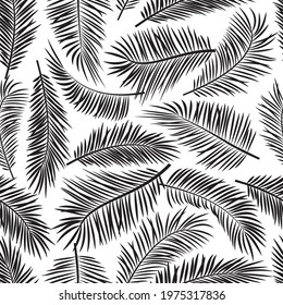 Palm leaf seamless pattern,  black and white tropic tree repeating background. Summer illustration 