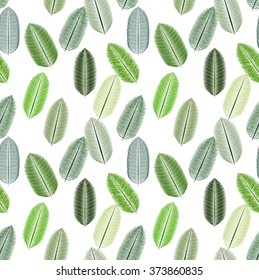 Palm Leaf. Seamless Pattern. Vector Illustration. EPS10
