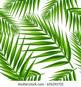 Palm leaf seamless pattern. Vector Illustration.