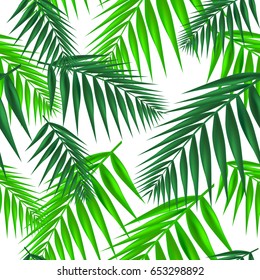 Palm leaf seamless pattern. Vector Illustration.