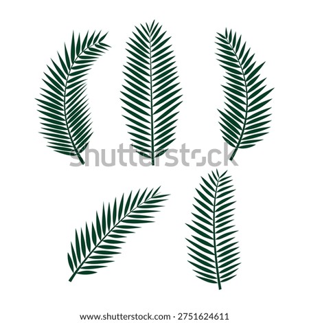 Palm leaf set, graphic design element related to nature, branch, or Palm Sunday