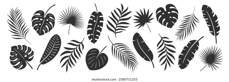 Palm leaf set isolated on white background. Tropical black leaves silhouette: palm, banana, coconut. Vector illustration