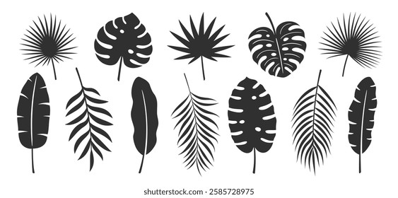 Palm leaf set isolated on white background. Tropical black leaves silhouette: palm, banana, coconut. Vector illustration
