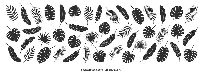 Palm leaf set isolated on white background. Tropical black leaves silhouette: palm, banana, coconut. Vector illustration