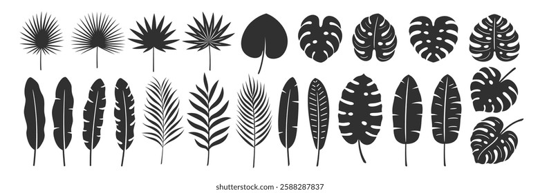 Palm leaf set isolated on white background. Tropical black leaves silhouette: palm, banana, coconut. Vector illustration