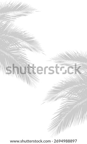 Palm Leaf Shadow Background for Tropical Nature and Summer Design