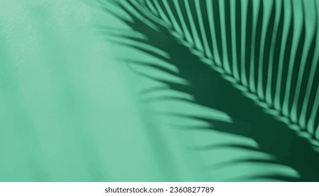 Palm leaf shadow on a green wall background. teal color stylish flat lay with trendy shadow and sun light ,vector  Illustrartion