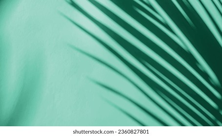 Palm leaf shadow on a green wall background. teal color stylish flat lay with trendy shadow and sun light ,vector  Illustrartion