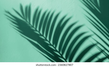 Palm leaf shadow on a green wall background. teal color stylish flat lay with trendy shadow and sun light ,vector  Illustrartion