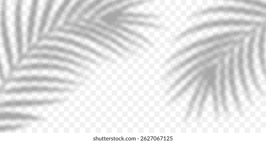 Palm Leaf Shadow on Transparent Background for Tropical Summer Design, Perfect for Posters, Invitations, and Web Projects. Soft Natural Sunlight Effect. High-Quality Vector Illustration.