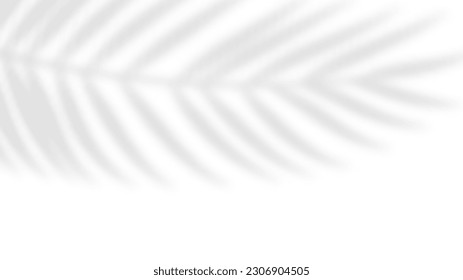 Palm leaf shadow overlay. Tropical blurred leaf. Light overlay transparent effect. Vector illustration