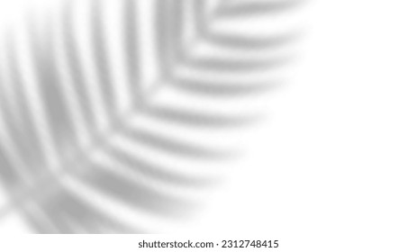 Palm leaf shadow overlay. Tropical blurred leaf. Light overlay transparent effect. Vector illustration