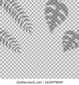 Palm leaf shadow. Set of tropical leaves overlay on transparent background. Collection natural monstera leaves shadow for poster. Foliage for design of wallpaper advertising. vector illustration