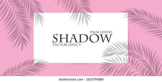 Palm leaf shadow transparent effect. Exotic design element.