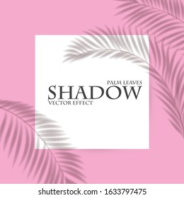 Palm leaf shadow transparent effect. Exotic design element.
