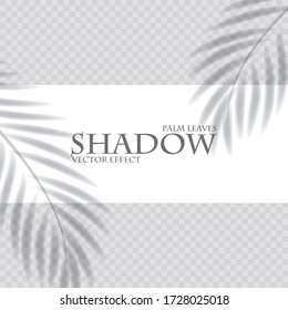 Palm leaf shadow transparent effect. Exotic design element.