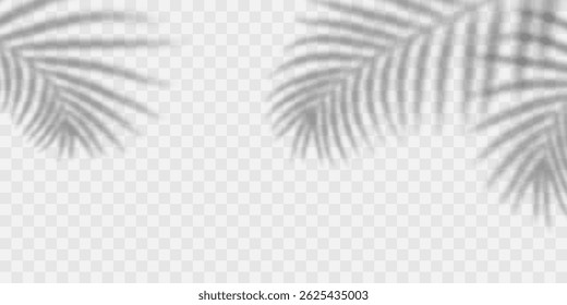 Palm Leaf Shadow, Tropical Sunlight Effect on Transparent Background for Summer, Beach, and Nature Design Projects. Vector Illustration.
