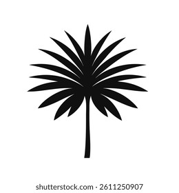 Palm leaf silhouette on white background