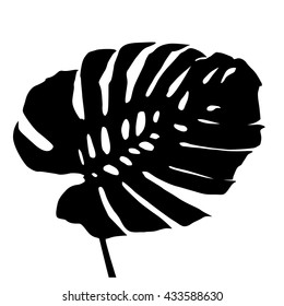 palm leaf silhouette on white background