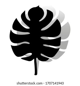 Palm leaf silhouette with shadow Isolated on white background. Element for design.