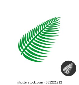 Palm leaf silhouette. Simple green one leaf isolated symbol.