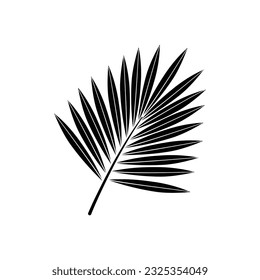 Palm leaf silhouette tropical illustration isolated on white background. Vector botanical outline summer design element of exotic plant. Beautiful jungle branch