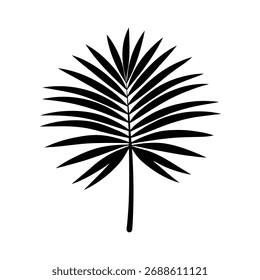 Ilustración de Arte vectorial de silueta de hoja de palma