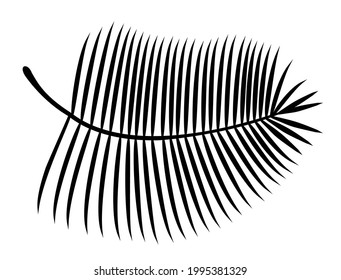 Palm leaf silhouette. Vector illustration