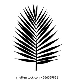 Palm Leaf Silhouette. Vector Illustration. Tropical Leaves.