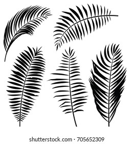 Palm Leaf Silhouette. Vector Illustration.