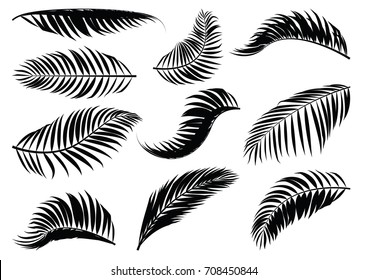 Palm Leaf silhouette. Vector illustration.