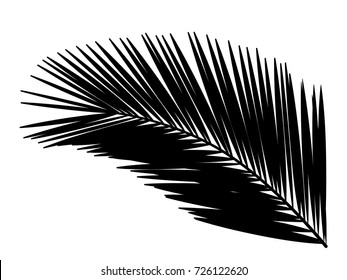 Palm Leaf. Silhouette.Vector Illustration.