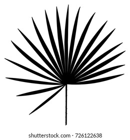 Palm leaf. Silhouette.Vector illustration.