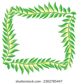 Palm leaf square ornament, frame, decorative border, illustration
