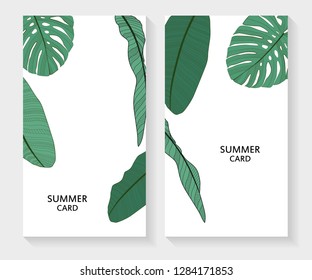Palm Leaf Summer Card Vector Background Illustration EPS10