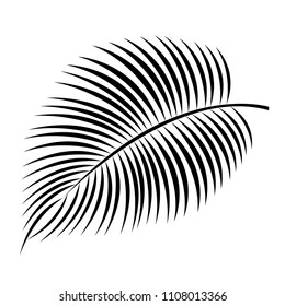 Palm leaf summer icon