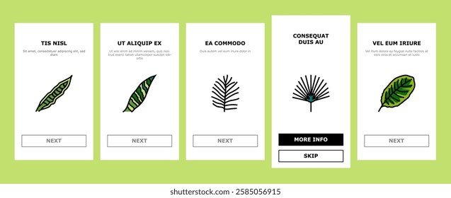 palm leaf summer plant green onboarding mobile vector. jungle exotic, nature foliage, tree floral, tropic monstera, texture forest, art palm leaf summer plant green illustrations