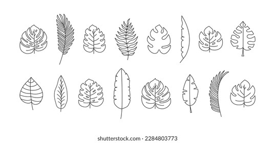 Palm leaf tree line icon, tropic plant outline design,black doodle jungle linear drawing isolated on white background. Floral vector illustration