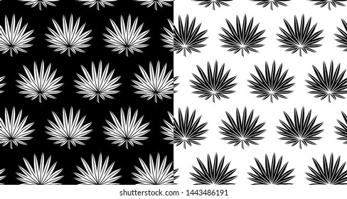 Palm leaf trees patterns.Tropical trees, leaves vector seamless black and white background collection. Exotic jungle plants botanical ornaments set.