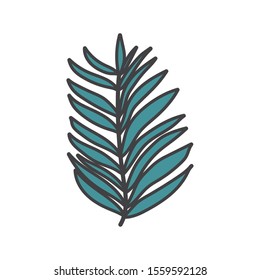 Palm Leaf Tropical Botanical Icon Vector Illustration