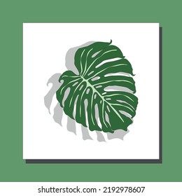 Palm leaf. Tropical leaves. List of monsters. Vector flat illustration, isolated objects on a white background.