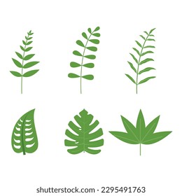 palm leaf tropical leaves set vector